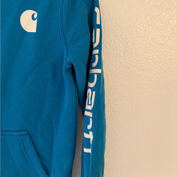 Carhartt Vibrant Blue Pullover Hoodie - Picture 4 of 8